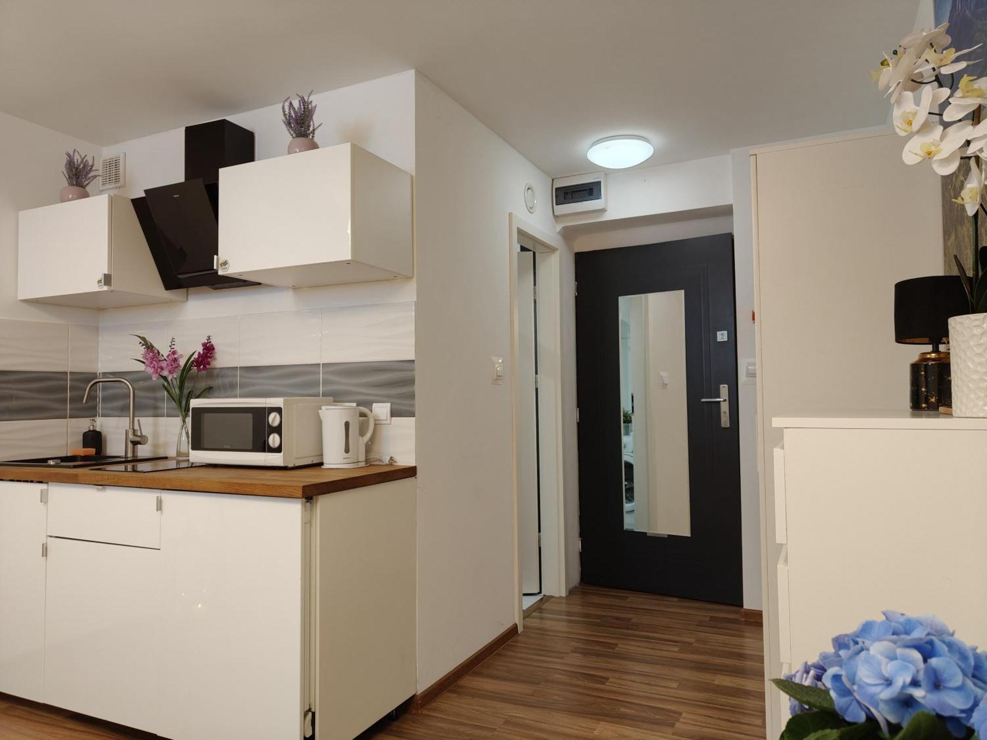 Apartament Hollidays Centrum *